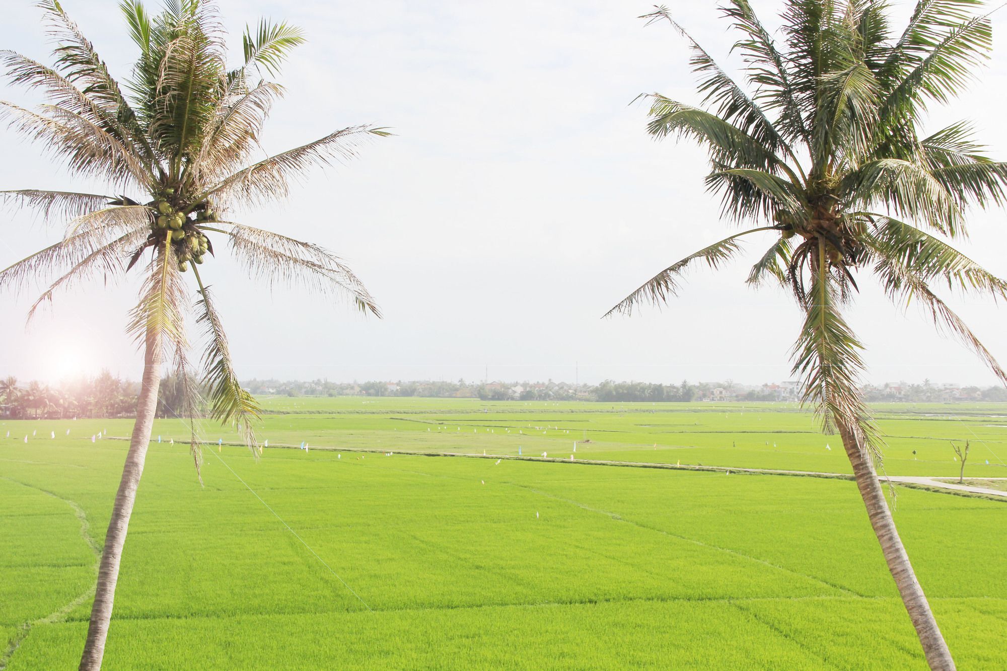 Hoi An Four Season Villa Экстерьер фото